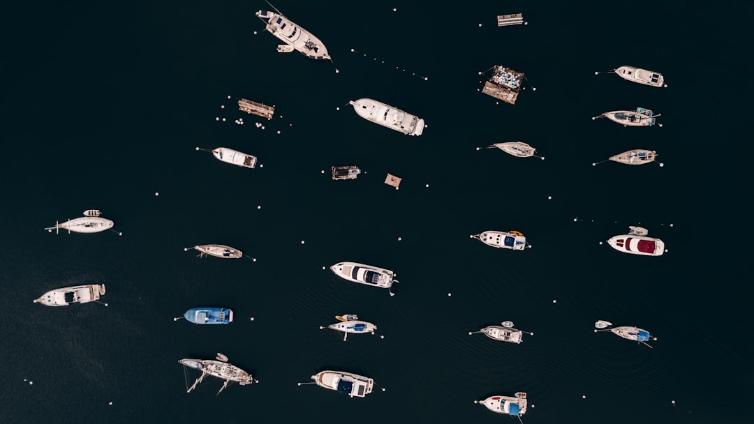 Top CS2 Skins in 2024
